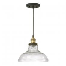 Austin Allen & Co - CA 9A137A - 1-Light Pendant in Bronze and Brass with Clear Glass Shade