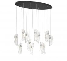 Lib & Co. CA 12034-017-02 - Sorrento, 12 Light Oval LED Chandelier, Clear, Black Canopy