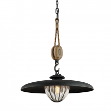 Troy F4906-FOR - Murphy Pendant