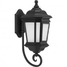 Progress P6631-31MD - P6631-31MD 1-100W MED WALL LANTERN